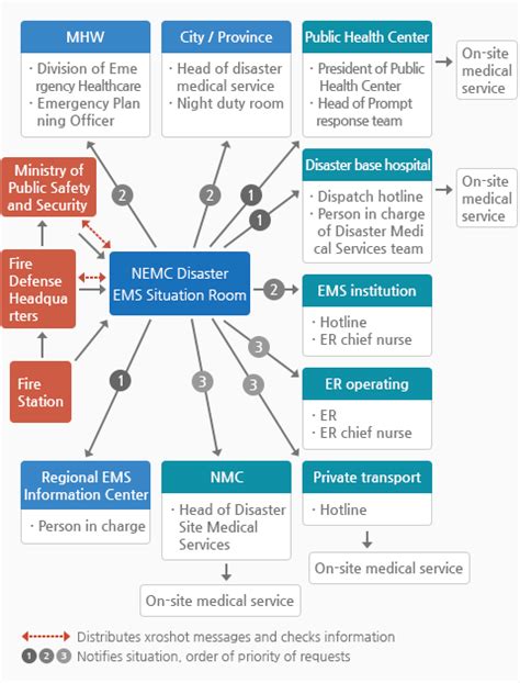 Report on Disaster Medical Operations with。